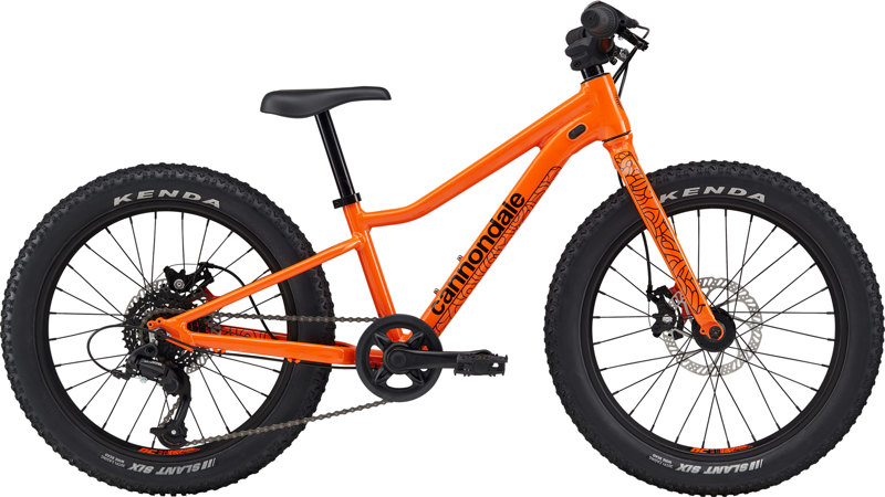 Cannondale Kids Trail Plus 20