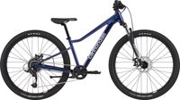 Cannondale 2384 3