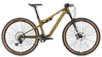 Canyon 2024 FULL lux trail cf 8 3994 M138 P02