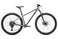 Specialized 91522 39 ROCKHOPPER EXPERT 29 SILDST BLKHLG HERO