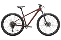 Specialized 91523 31 ROCKHOPPER EXPERT 29 RSTDRED RSTDRED HERO