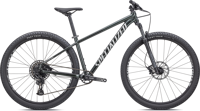 Specialized 91822 34 ROCKHOPPER EXPERT 29 OAKGRNMET METWHTSIL HERO