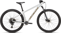 Specialized 91825 31 ROCKHOPPER EXPERT GLOSS SILVER DUST   SATIN BURNT GOLD METALLIC HERO