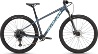 Specialized 91825 33 ROCKHOPPER EXPERT SATIN CAST BLUE METALLIC   GLOSS ASTRAL BLUE HERO